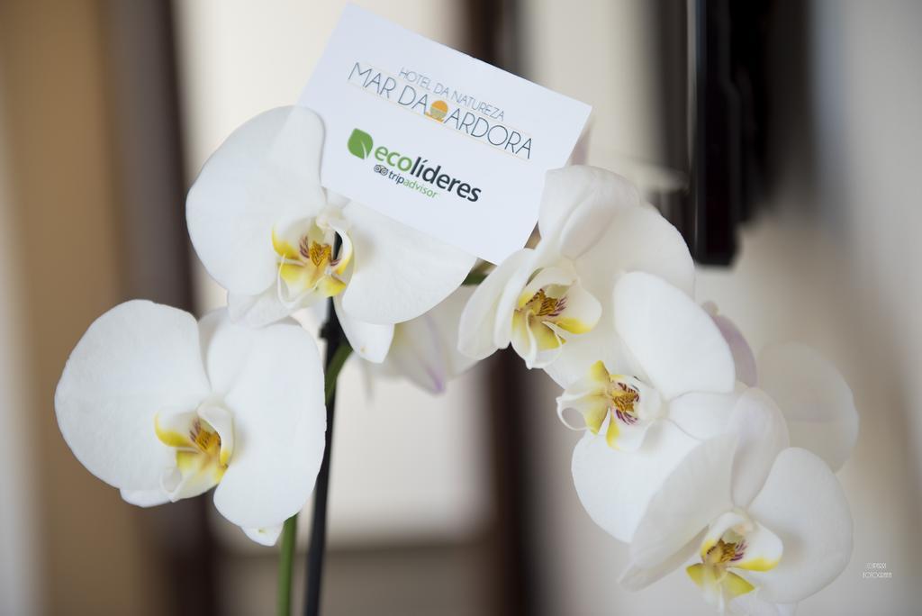 Hotel Naturaleza Mar Da Ardora Wellness & Spa Finisterre Ngoại thất bức ảnh